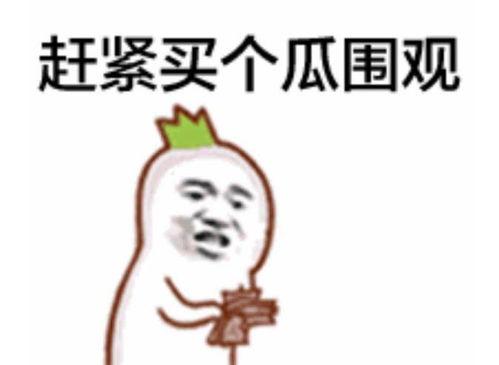 吃瓜表情包暗示着什么意思啊视频,揭秘网络社交中的隐秘心理