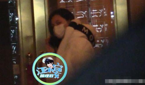 娱乐圈吃瓜汪小菲是谁,娱乐圈风云人物背后的故事