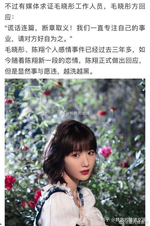 娱乐圈吃瓜崽是谁,揭秘娱乐圈神秘“吃瓜崽”身份之谜