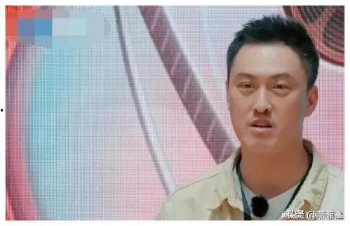 吃瓜娱乐圈任嘉伦是谁啊,娱乐圈的瓜中明星，揭秘他的魅力与成就